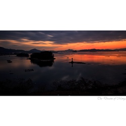 dailyPhoto33